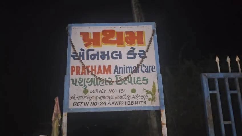 કડીના રણછોડપુરાની પશુ આહાર બનાવતી કંપનીમાં ભીષણ આગ, લાખોનો સામાન ખાખ