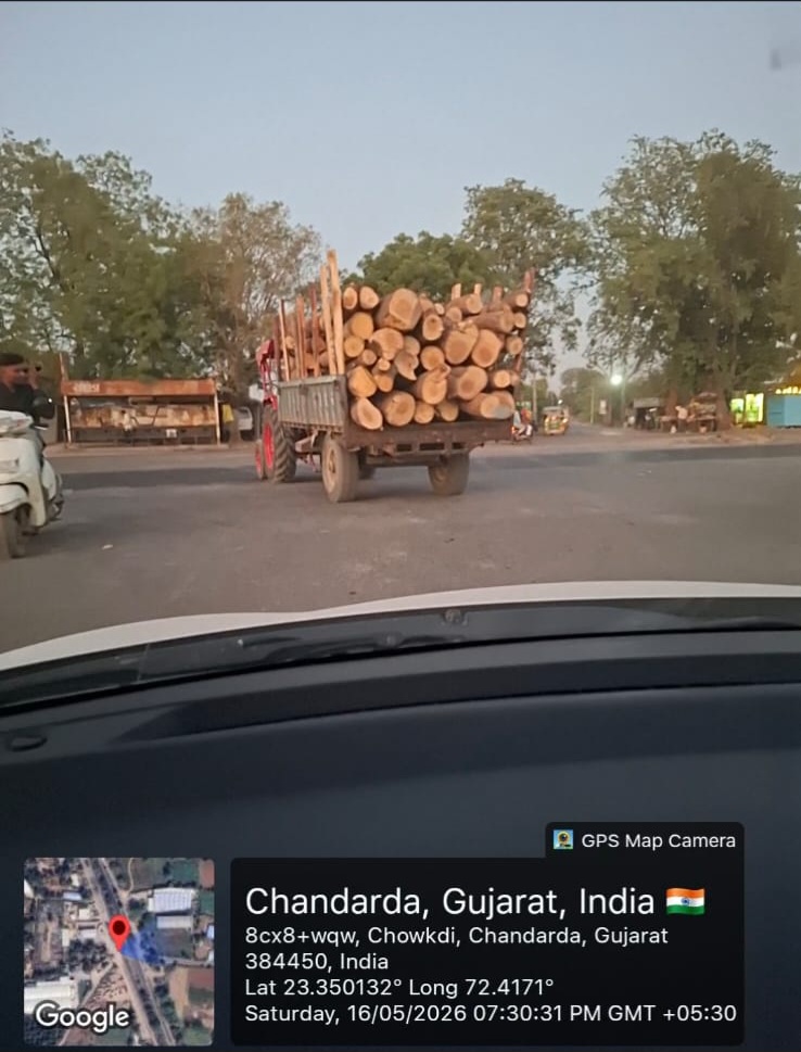 કડીમાં લાકડા માફિયાઓનું સામ્રાજ્ય? વન વિભાગની ચુપ્પી શંકાઓને આપે છે તાકાત